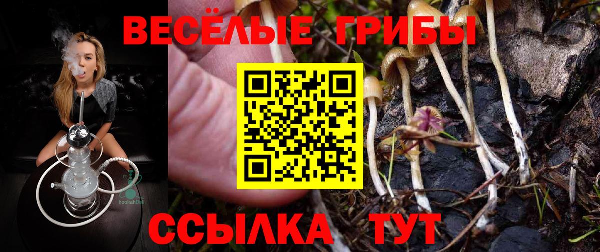 Галлюциногенные грибы MAGIC MUSHROOMS  Вход с VPN  Галлюциногенные грибы GOLDEN TEACHER  Комсомольск-на-Амуре 
